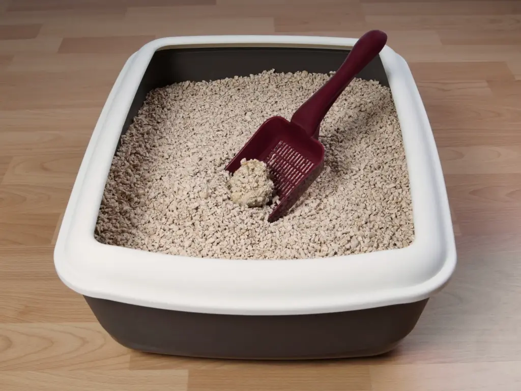 Litter box