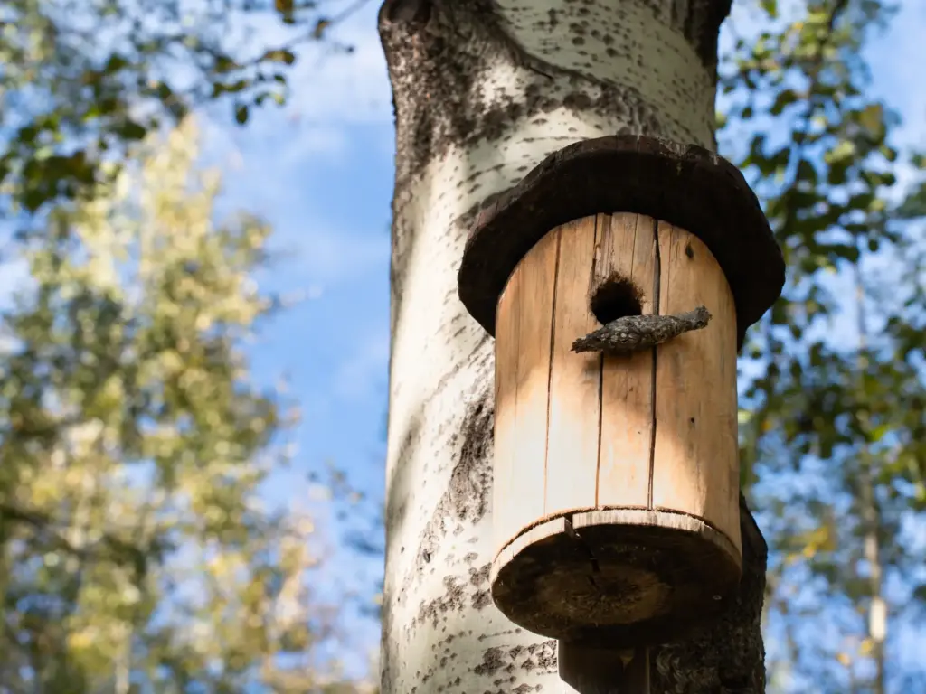 birdhouse