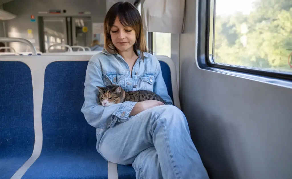 cat-transport