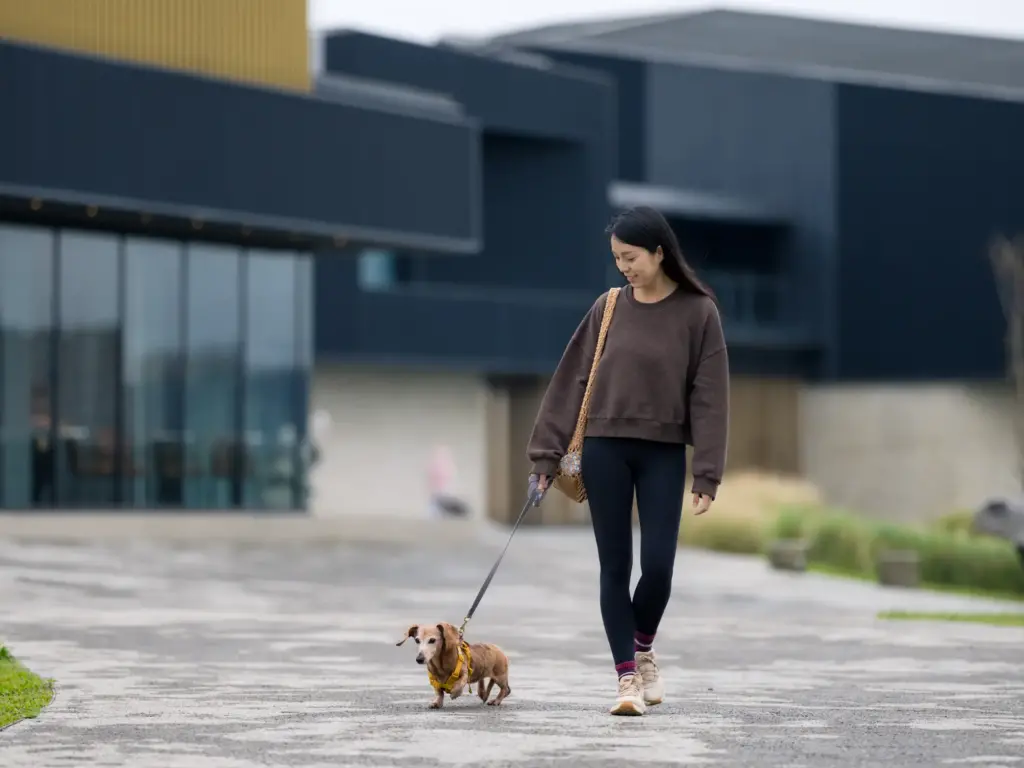 dog-walking