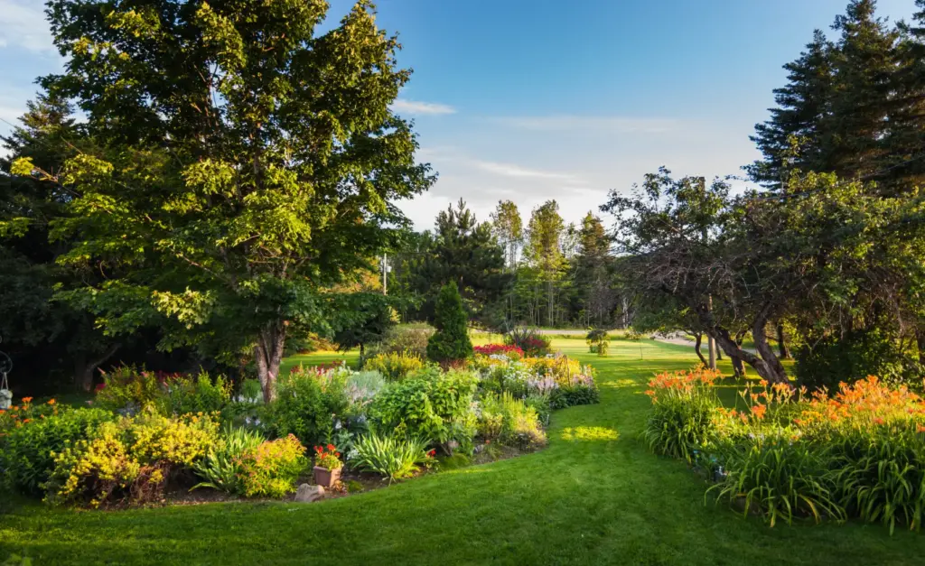 garden
