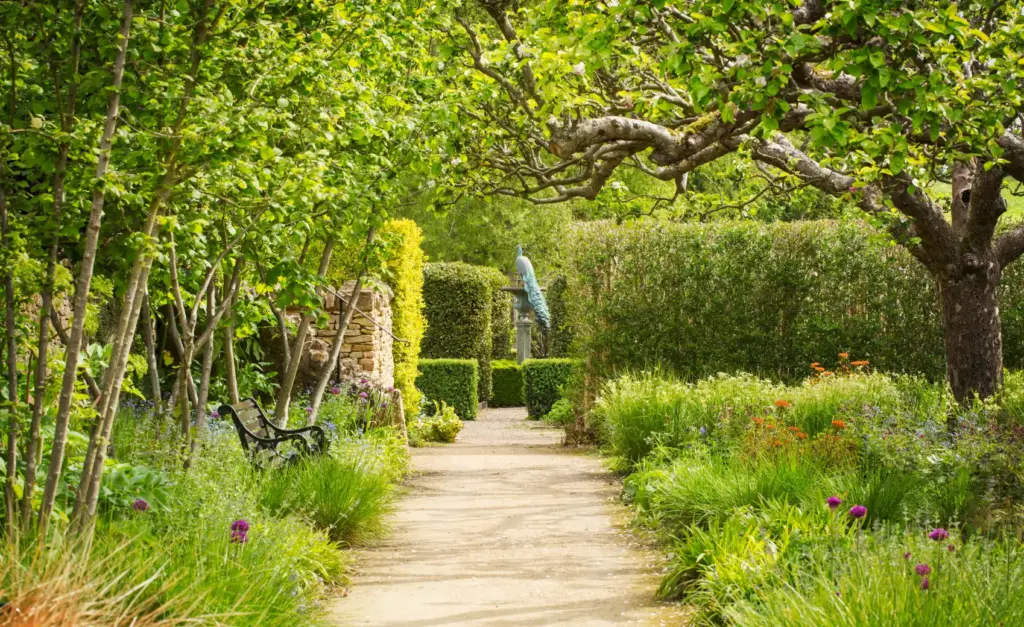 garden-2